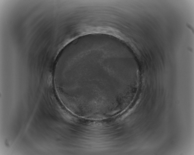 X0000096401505200801311339