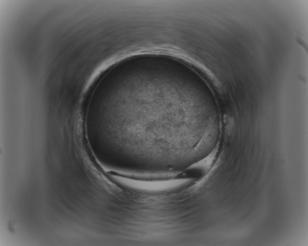 X0000096401506200801311339