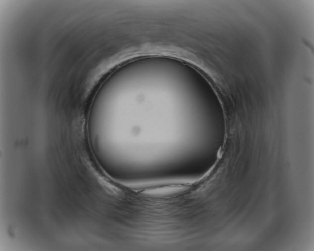 X0000096401507200801311339