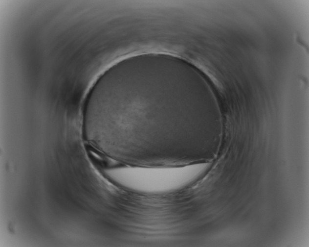 X0000096401508200801311339