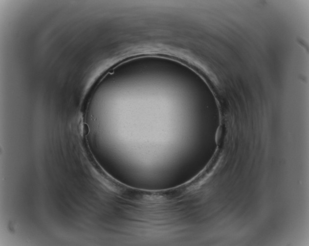 X0000096401509200801311339