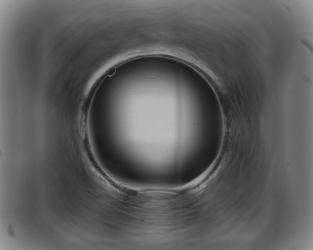 X0000096401510200801311339