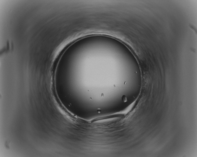 X0000096401511200801311339