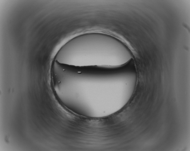 X0000096401512200801311339