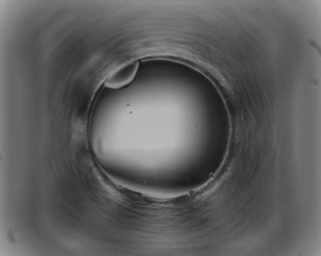 X0000096401513200801311339