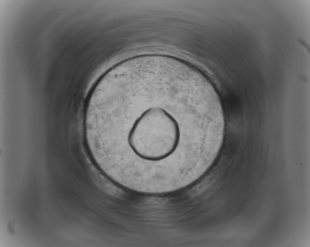 X0000096401514200801311339