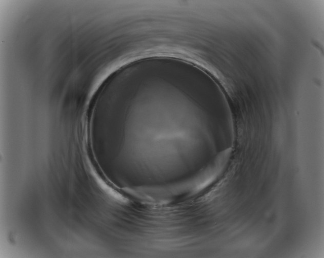 X0000096401515200801311339