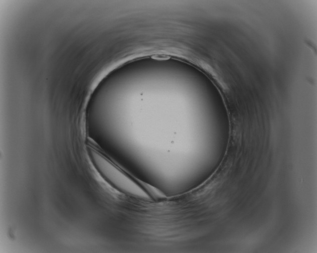 X0000096401516200801311339