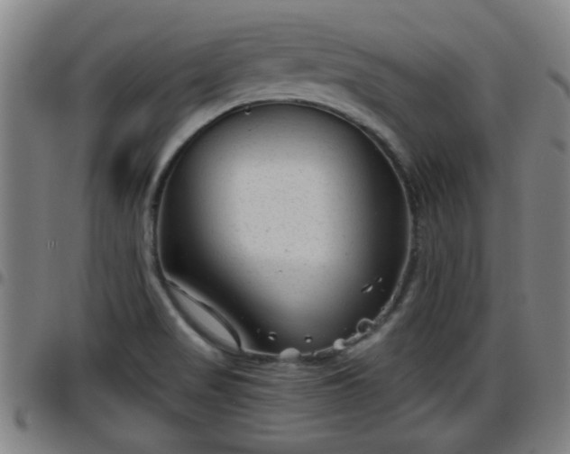 X0000096401517200801311339