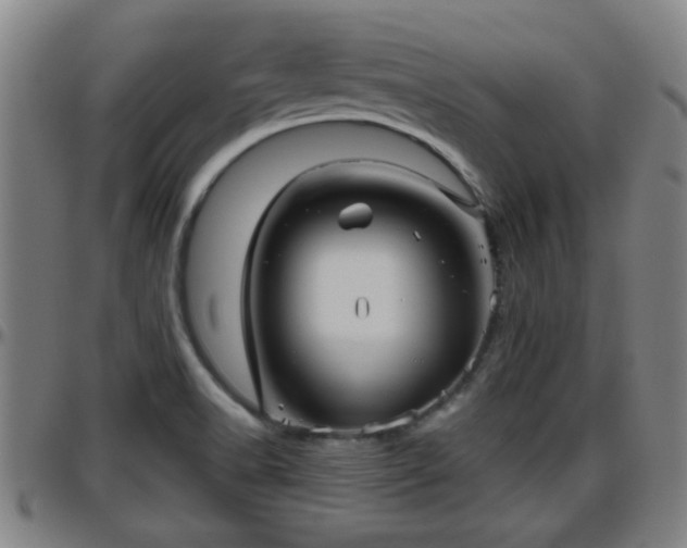 X0000096401518200801311339