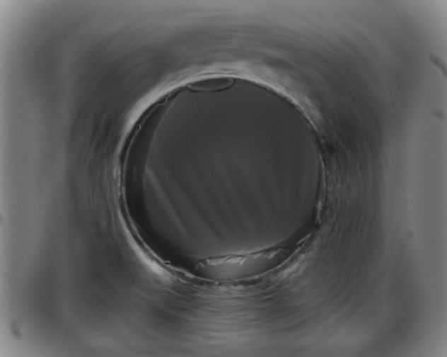 X0000096401519200801311339