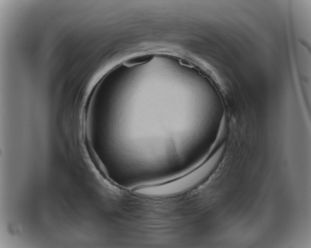 X0000096401520200801311339