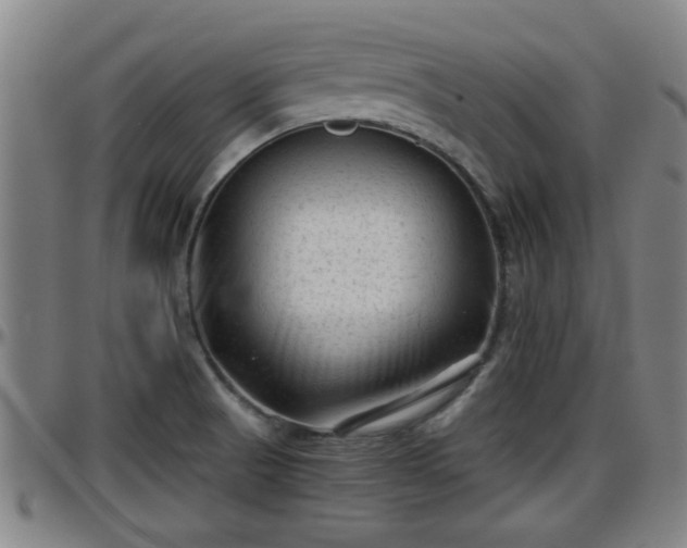 X0000096401521200801311339