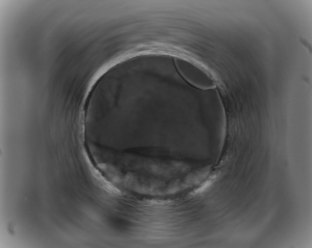 X0000096401522200801311339