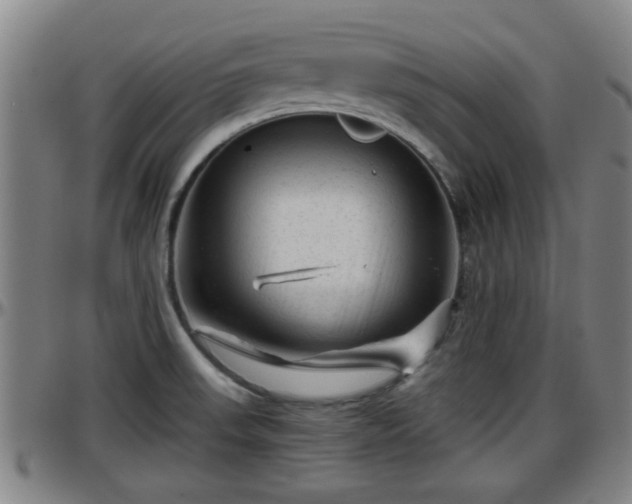 X0000096401523200801311339