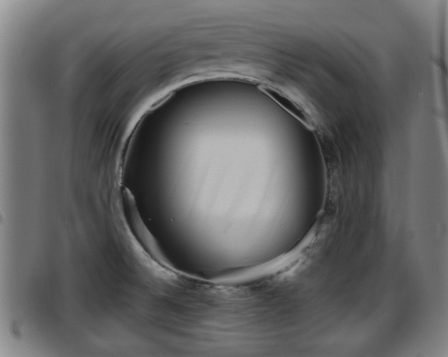 X0000096401524200801311339