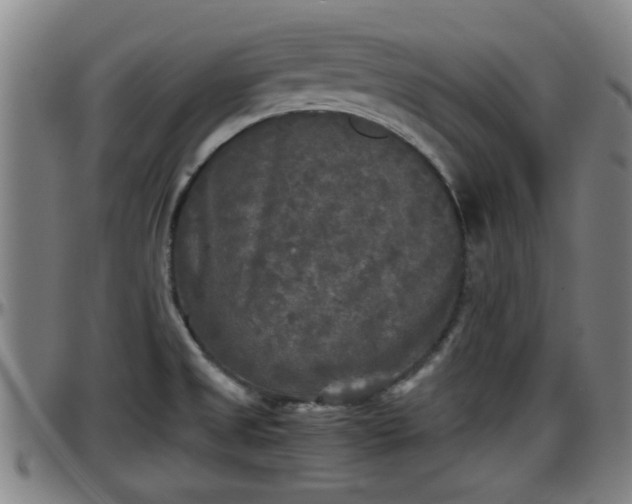 X0000096401525200801311339