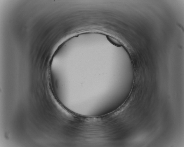 X0000096401526200801311339