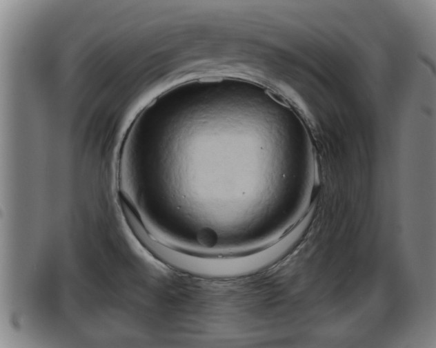 X0000096401528200801311339