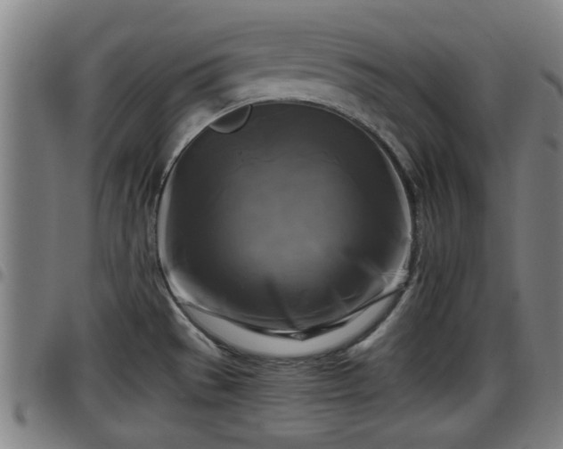 X0000096401529200801311339