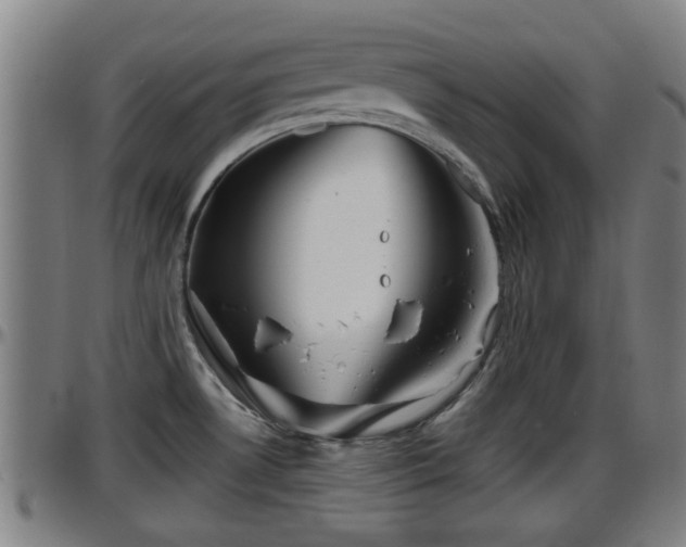 X0000096401530200801311339