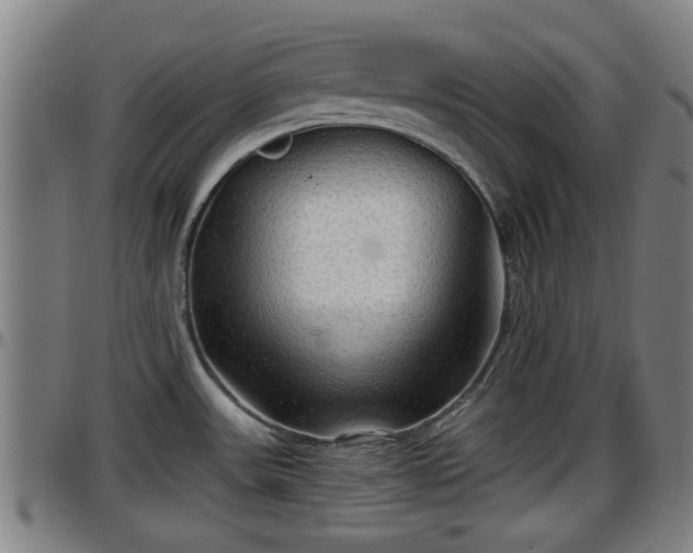 X0000096401531200801311339