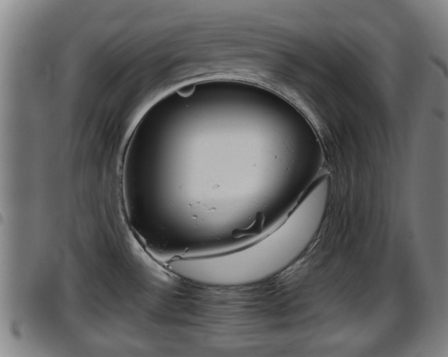 X0000096401532200801311339