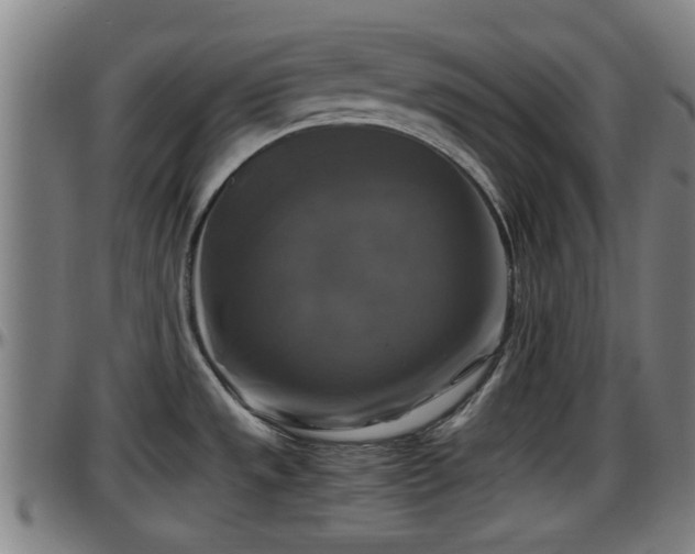 X0000096401533200801311339