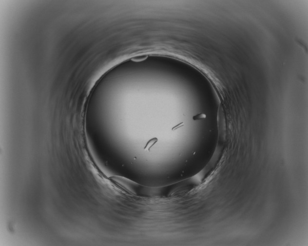 X0000096401534200801311339