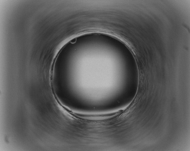 X0000096401535200801311339