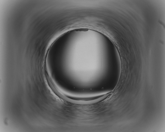 X0000096401536200801311339