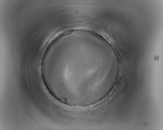 X0000096400002200802071611