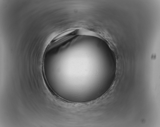 X0000096400003200802071611