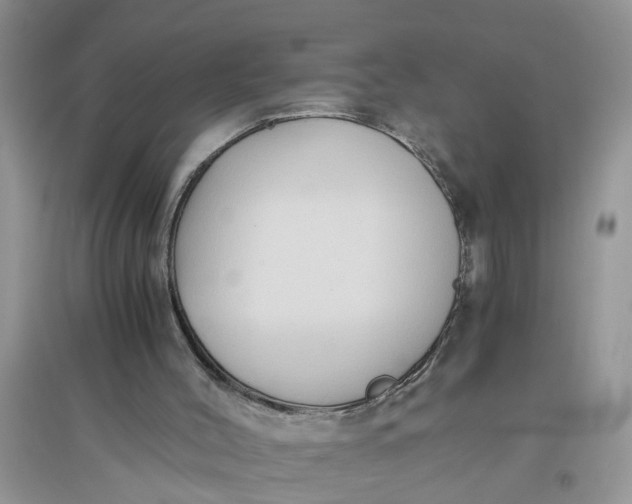 X0000096400004200802071611