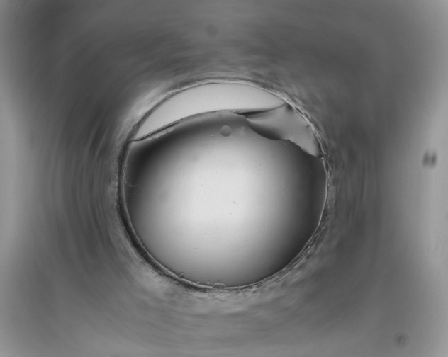 X0000096400005200802071611