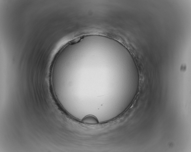 X0000096400006200802071611