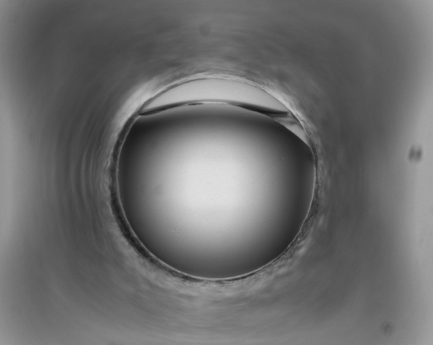 X0000096400007200802071611