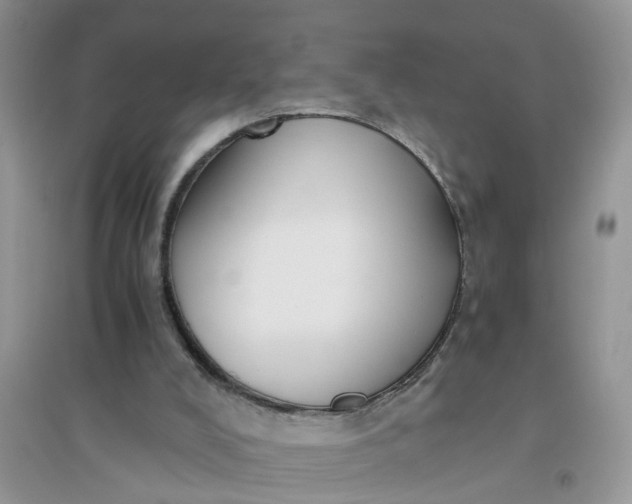 X0000096400008200802071611