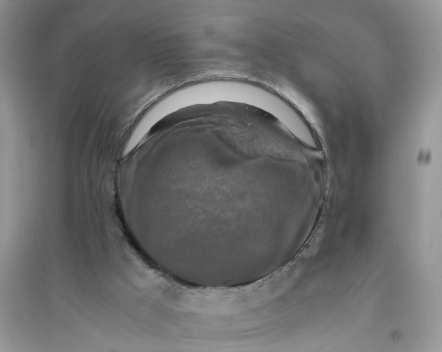 X0000096400009200802071611