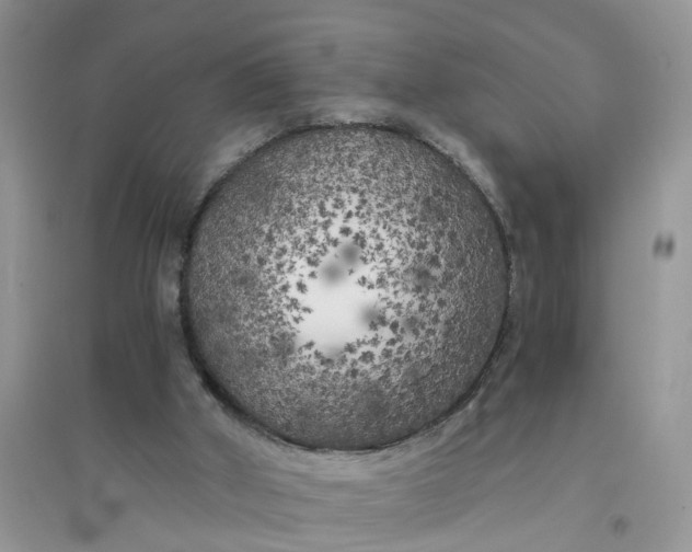 X0000096400010200802071611