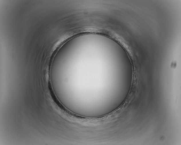 X0000096400011200802071611