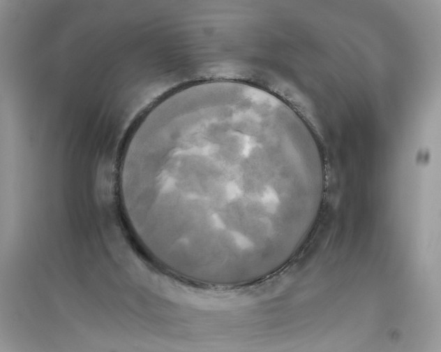 X0000096400012200802071611