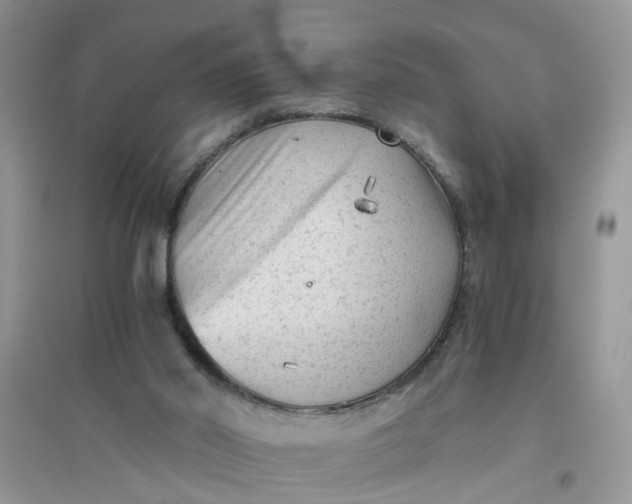 X0000096400014200802071611