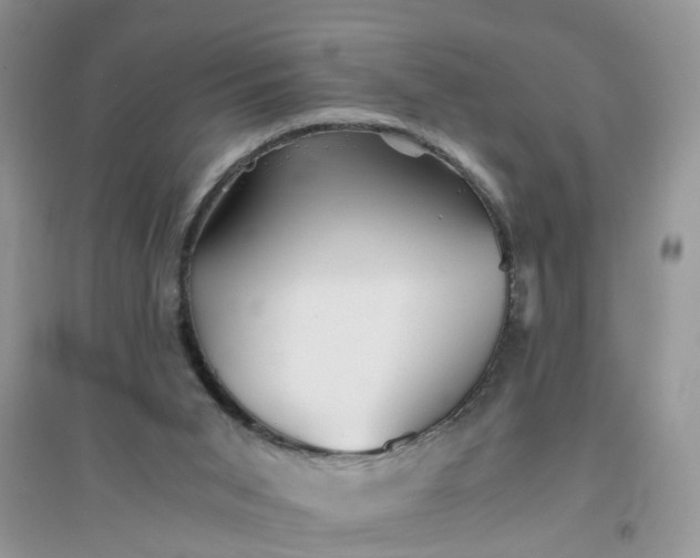 X0000096400015200802071611