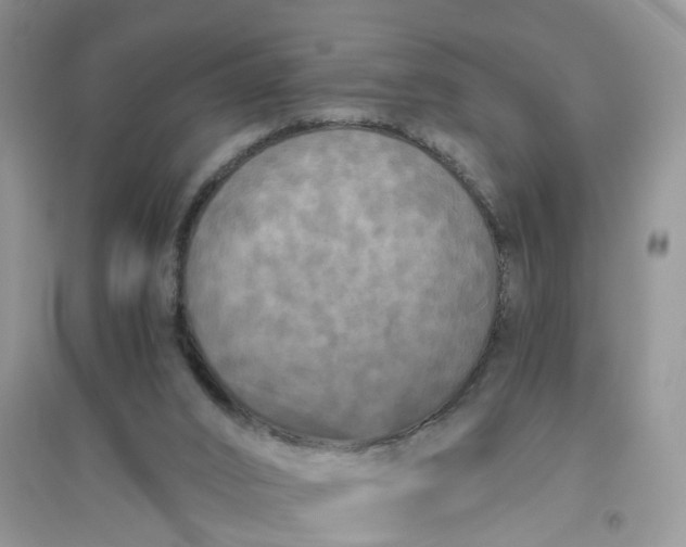 X0000096400016200802071611