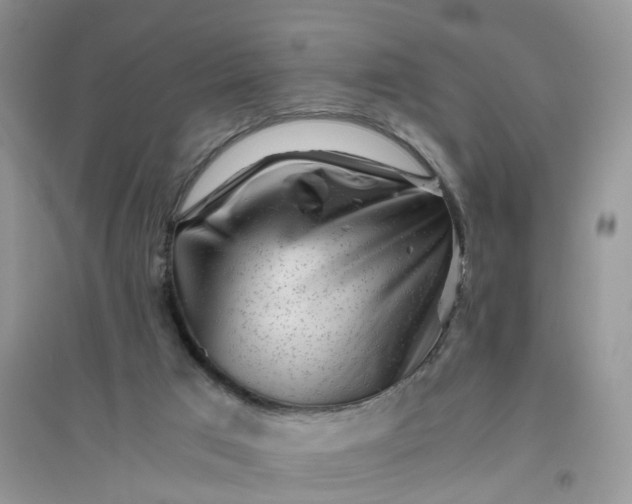 X0000096400017200802071611