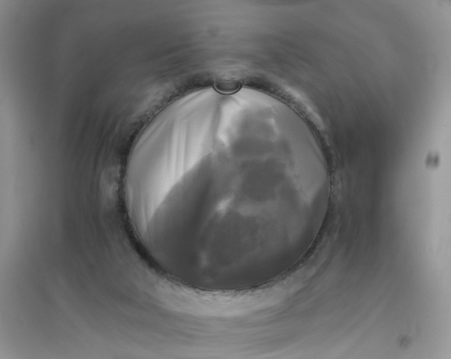 X0000096400018200802071611