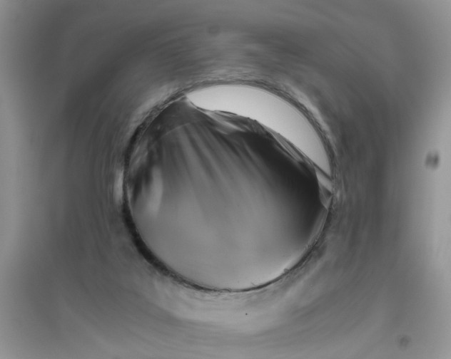 X0000096400019200802071611