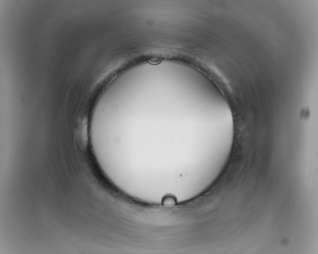 X0000096400020200802071611