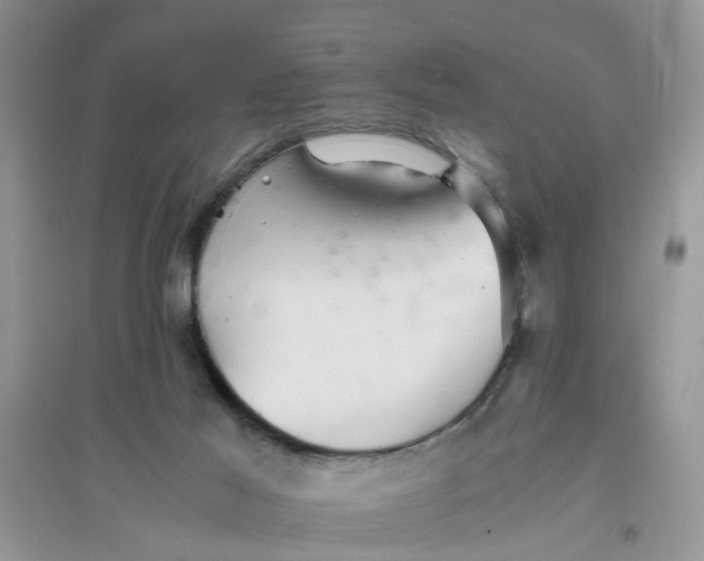 X0000096400021200802071611